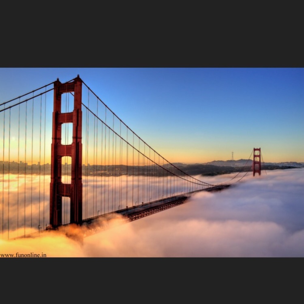 Meet your Posher, Sherlly